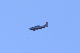 image0493
