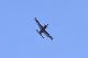 image0494