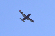 image0495
