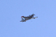 image0496