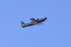 image0498