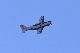 image0499