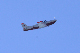image0500