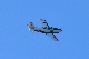 image0504