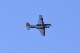 image0513
