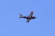 image0516