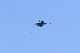 image0518