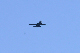 image0519