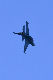 image0533