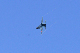 image0537