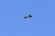 image0539