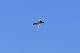 image0540