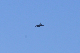 image0541