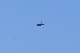 image0542
