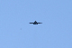 image0545