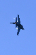 image0564