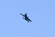 image0584