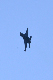 image0586