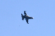 image0602