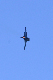 image0621