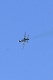 image0625
