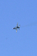 image0626