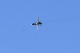 image0627