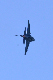 image0647