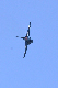 image0648