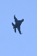 image0661