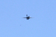 image0681