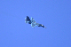 image0701