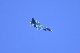 image0702