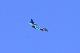 image0704