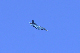 image0705