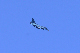 image0706