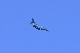 image0707