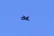 image0712