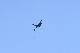 image0718