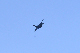 image0719