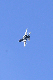 image0732