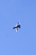 image0733