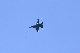 image0735