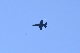 image0739