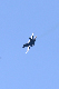 image0758