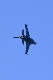 image0781