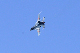 image0783