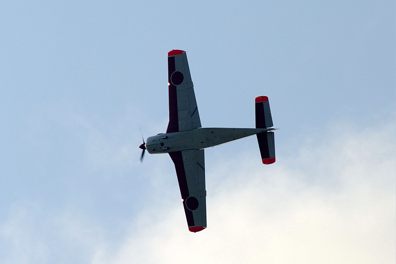 image0177