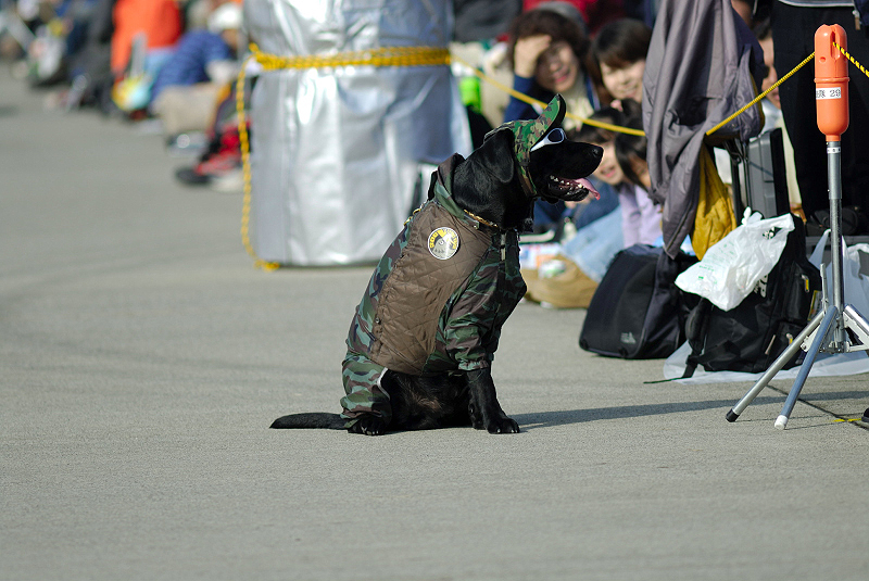 image0180