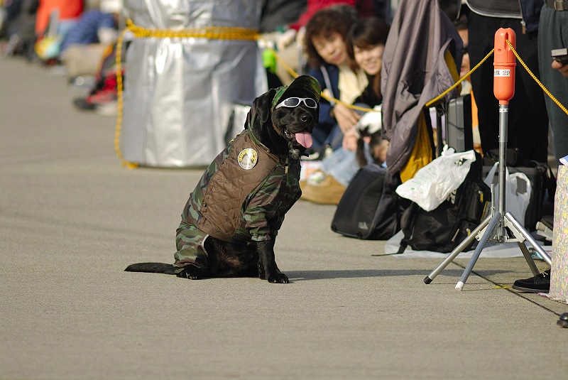 image0181